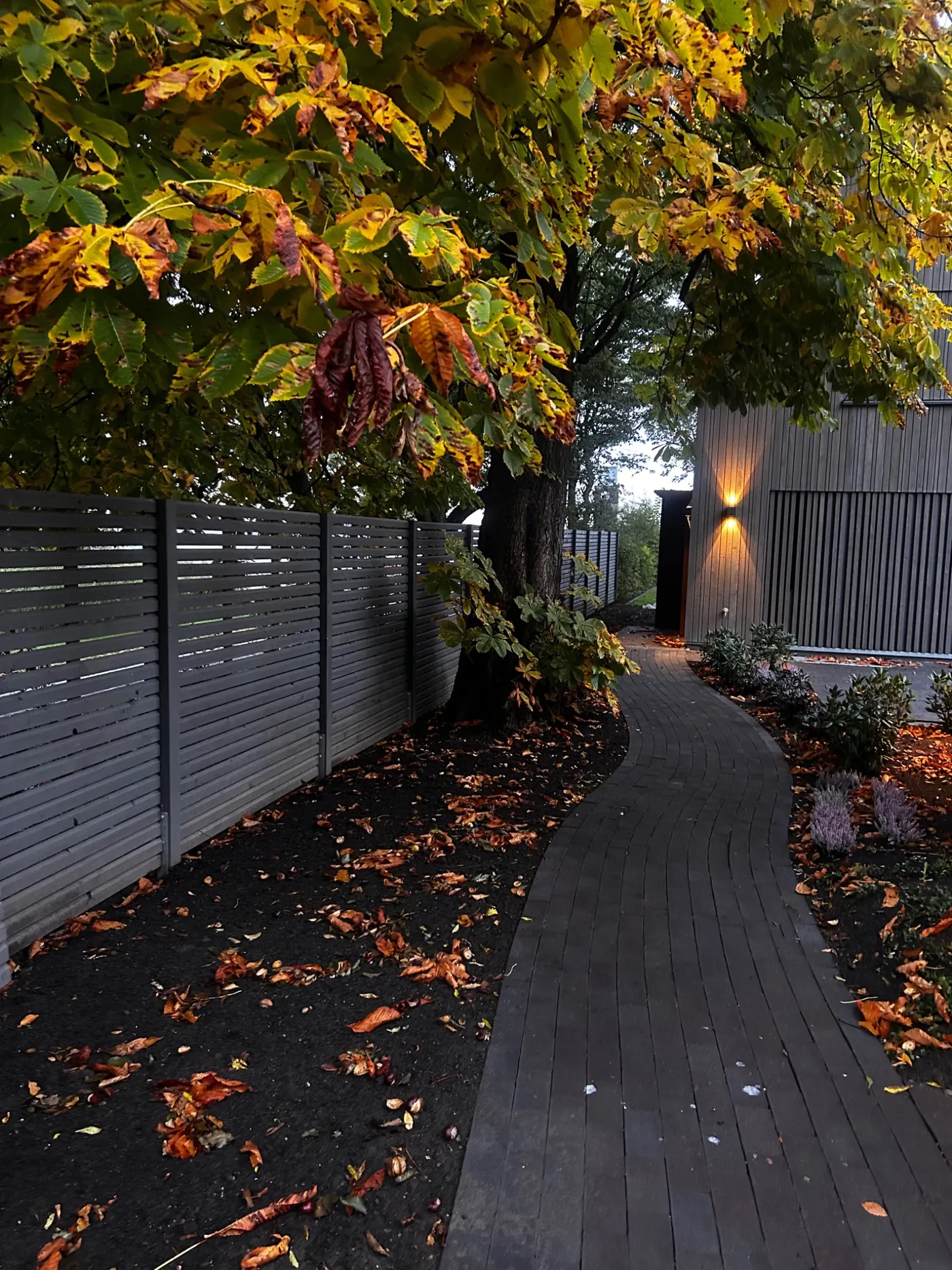 Gartenweg mit Zaunanlage
