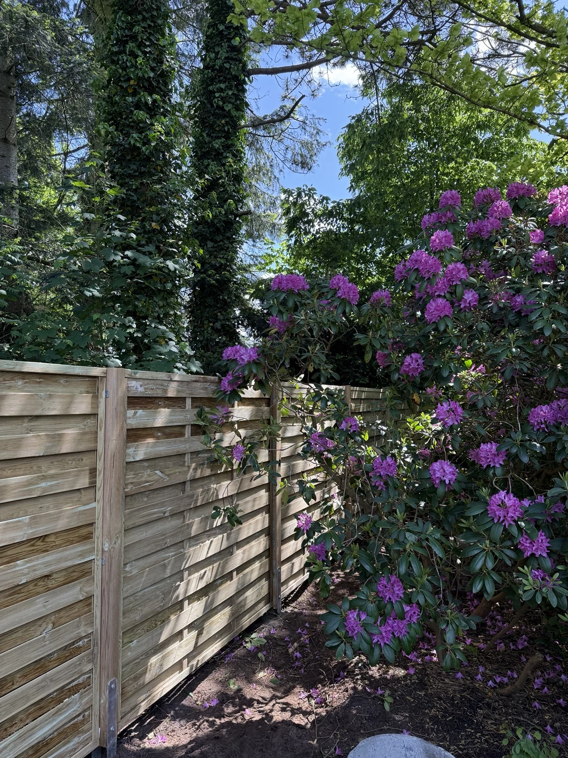 Holz-Sichtschutz im Garten